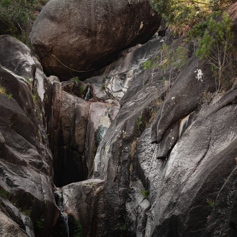 pexels-photo-33240219